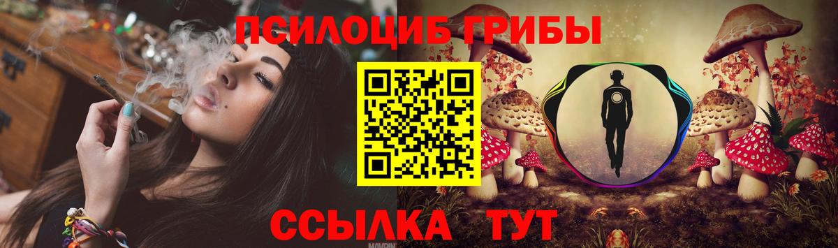 Галлюциногенные грибы мухоморы  Вход с VPN  Псилоцибиновые грибы Psilocybe  Красный Сулин 